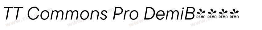 TT Commons Pro DemiB字体转换